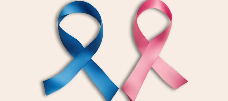 A terapia nutricional na prevenção do câncer de mama e de próstata
